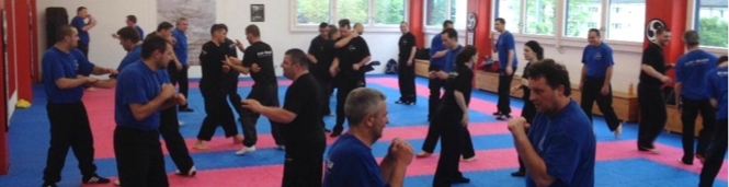 2. Krav Maga Self Protect Trainerkurs 2014